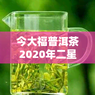 今大福普洱茶2020年二星白菜价格及发行量信息汇总