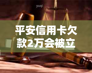 平安信用卡欠款2万会被立案吗