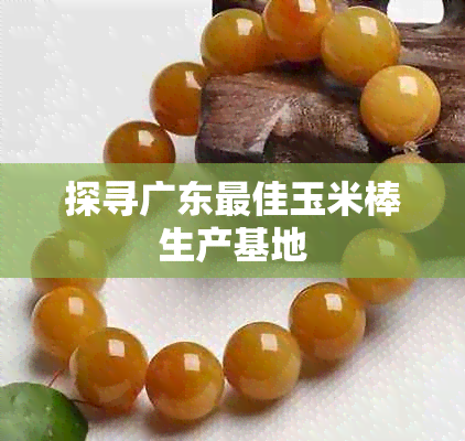 探寻广东更佳玉米棒生产基地