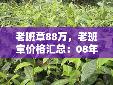 老班章88万,老班章价格汇总:08年、2021年、2020年及更低价