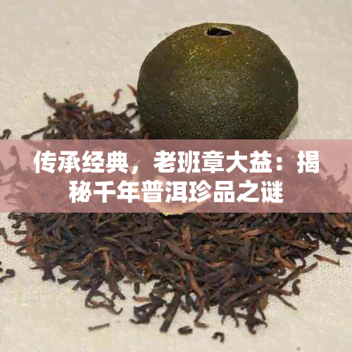 传承经典,老班章大益:揭秘千年普洱珍品之谜