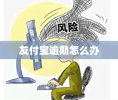 友付宝逾期怎么办