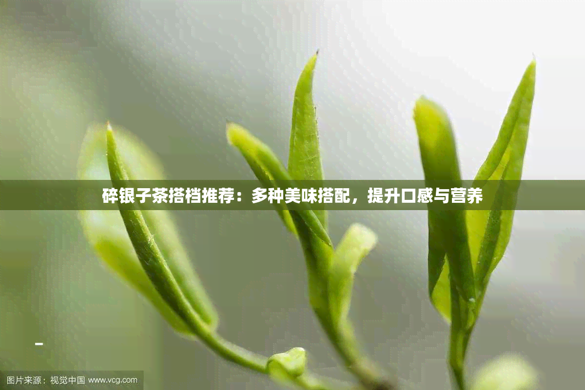 碎银子茶搭档推荐：多种美味搭配，提升口感与营养
