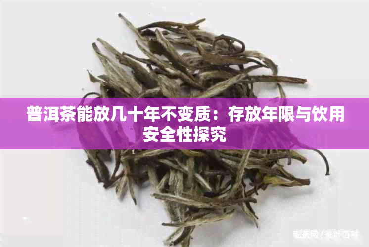 普洱茶能放几十年不变质:存放年限与饮用安全性探究