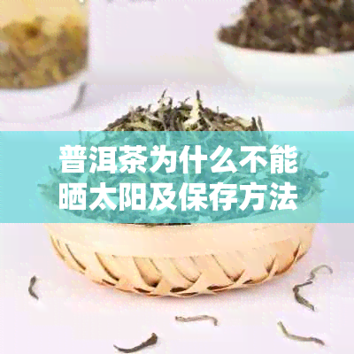 普洱茶为什么不能晒太阳及保存方法，为什么不建议放冰箱和长时间泡煮