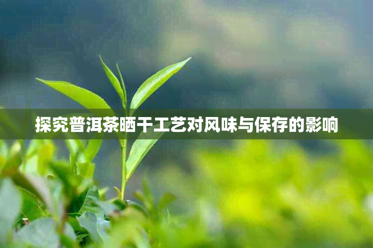 探究普洱茶晒干工艺对风味与保存的影响