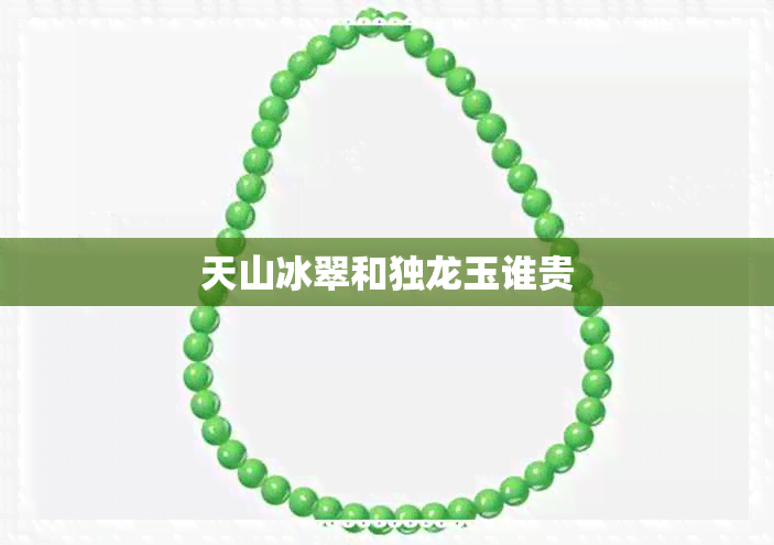 天山冰翠和独龙玉谁贵 天山冰翠和独龙玉谁贵