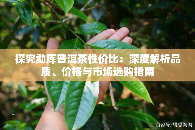 探究勐库普洱茶性价比:深度解析品质、价格与市场选购指南