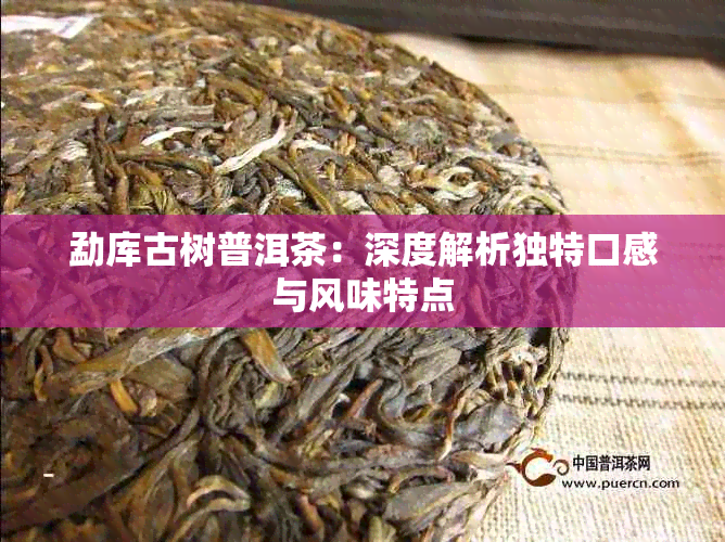 勐库古树普洱茶:深度解析独特口感与风味特点