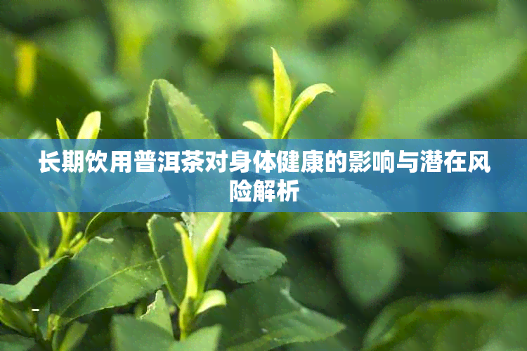 长期饮用普洱茶对身体健康的影响与潜在风险解析