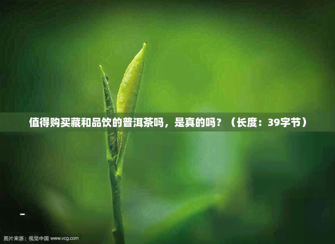 值得购买藏和品饮的普洱茶吗,是真的吗?(长度:39字节)