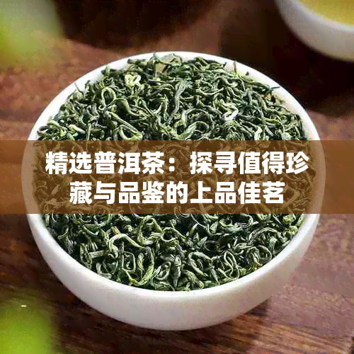 精选普洱茶:探寻值得珍藏与品鉴的上品佳茗