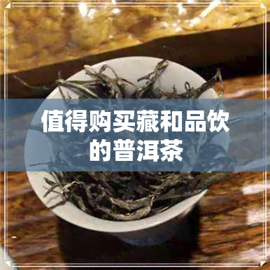 值得购买藏和品饮的普洱茶 值得购买藏和品饮的普洱茶