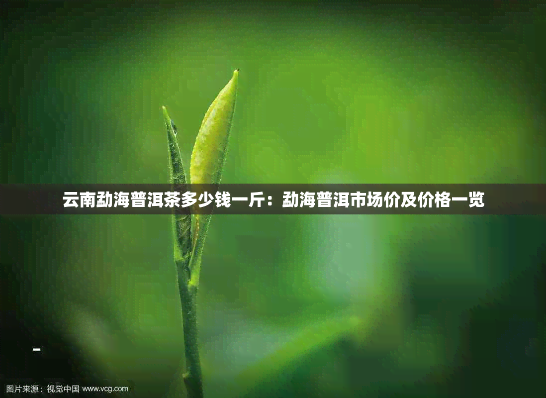 云南勐海普洱茶多少钱一斤:勐海普洱市场价及价格一览