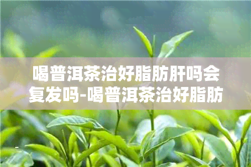 喝普洱茶治好脂肪肝吗会复发吗-喝普洱茶治好脂肪肝吗会复发吗女性