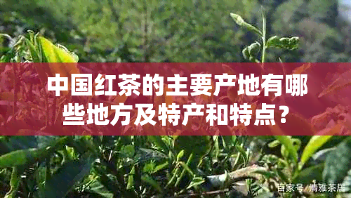中国红茶的主要产地有哪些地方及特产和特点?