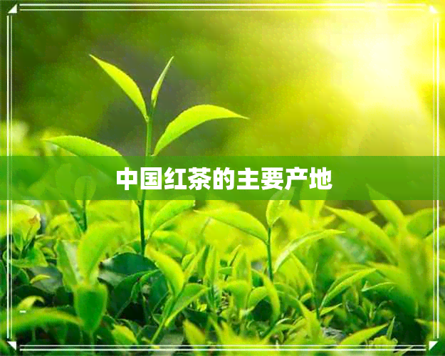 中国红茶的主要产地 中国红茶的主要产地