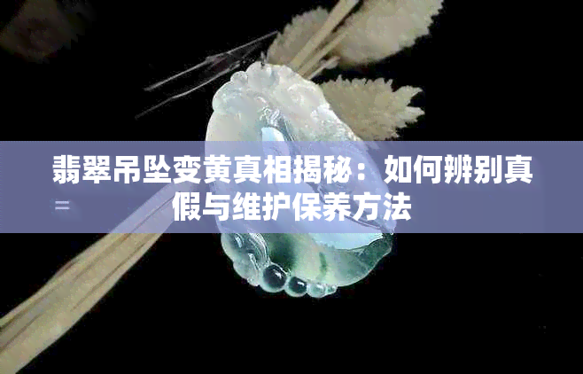 翡翠吊坠变黄真相揭秘:如何辨别真假与维护保养方法