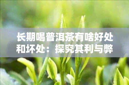 长期喝普洱茶有啥好处和坏处:探究其利与弊