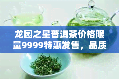 龙园之星普洱茶价格限量9999特惠发售,品质保证,收藏首选