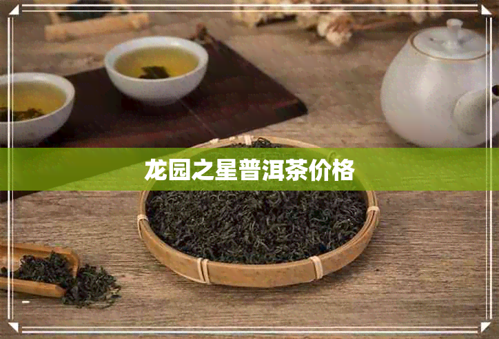 龙园之星普洱茶价格 龙园之星普洱茶价格