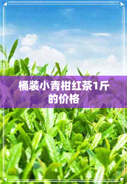 桶装小青柑红茶1斤的价格 桶装小青柑红茶1斤的价格