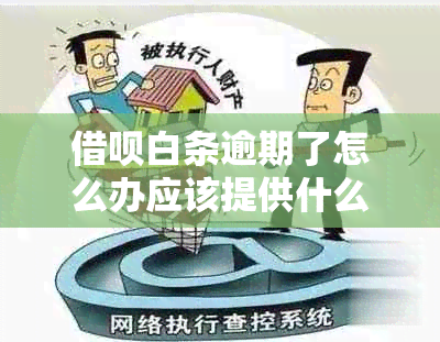 网贷白条逾期了怎么办应该提供什么资料