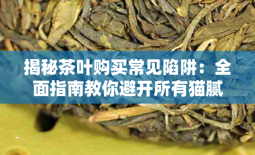 揭秘茶叶购买常见陷阱:全面指南教你避开所有猫腻与误区