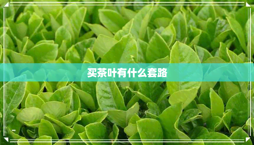 买茶叶有什么套路 买茶叶有什么套路