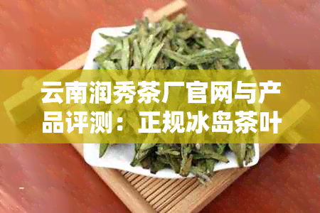 云南润秀茶厂官网与产品评测：正规冰岛茶叶哪家强？探究最出名茶品品质如何