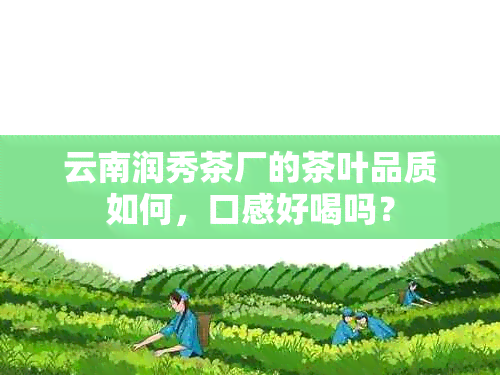 云南润秀茶厂的茶叶品质如何，口感好喝吗？