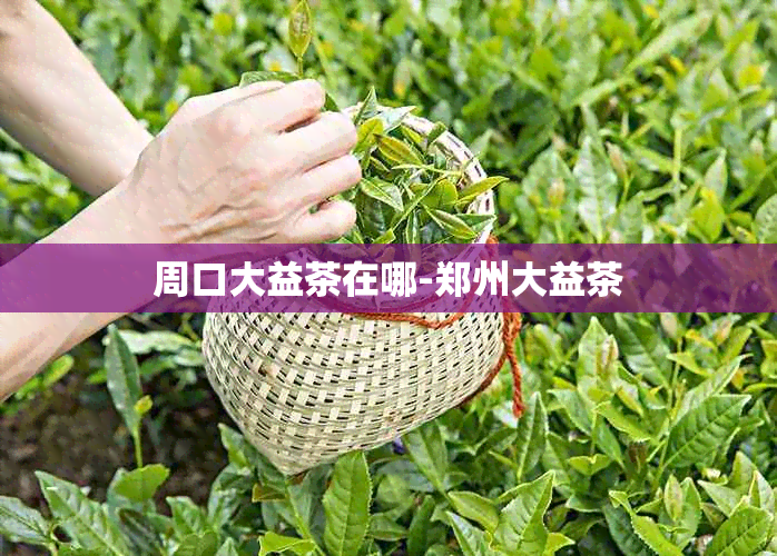 周口大益茶在哪-郑州大益茶