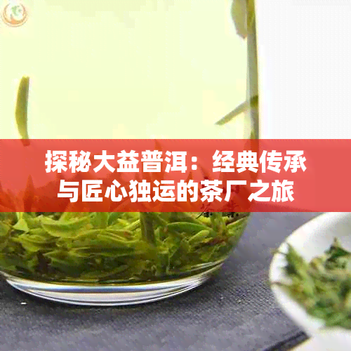 探秘大益普洱:经典传承与匠心独运的茶厂之旅