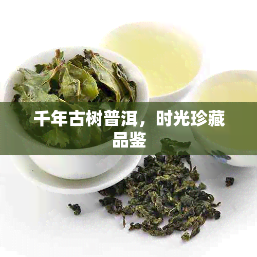 千年古树普洱,时光珍藏品鉴