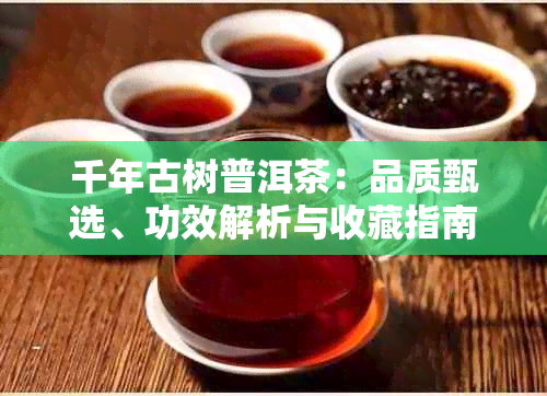 千年古树普洱茶:品质甄选、功效解析与收藏指南