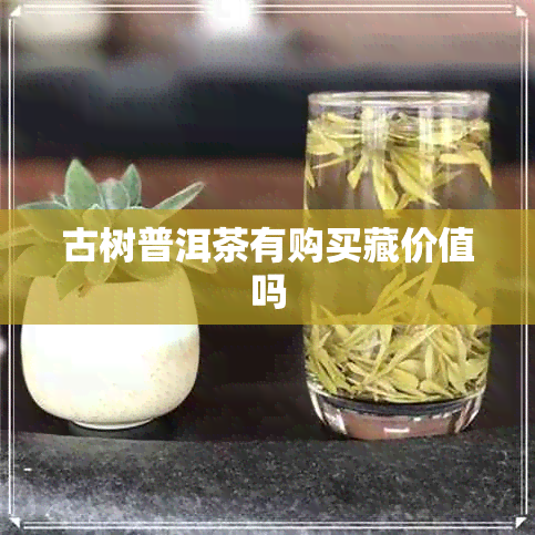 古树普洱茶有购买藏价值吗 古树普洱茶有购买藏价值吗