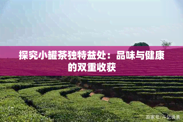 探究小罐茶独特益处：品味与健康的双重收获
