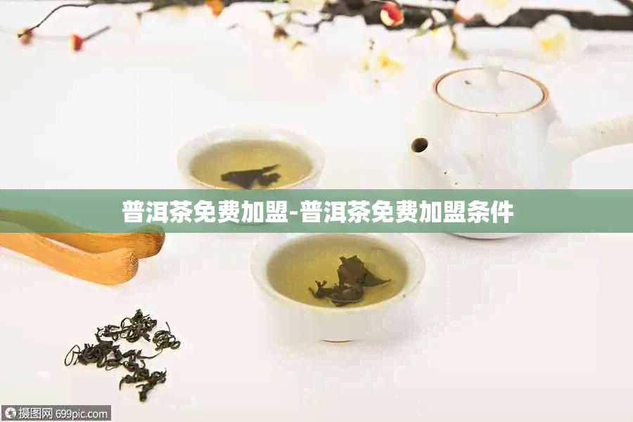 普洱茶免费加盟-普洱茶免费加盟条件
