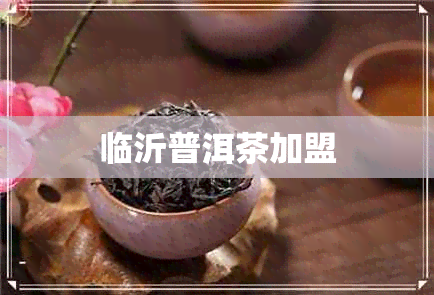 临沂普洱茶加盟 临沂普洱茶加盟