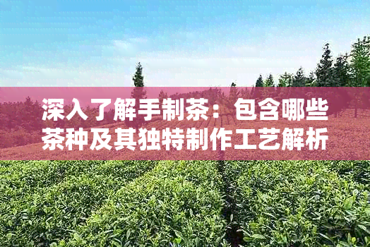 深入了解手制茶：包含哪些茶种及其独特制作工艺解析