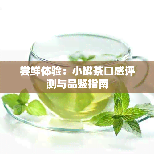 尝鲜体验：小罐茶口感评测与品鉴指南