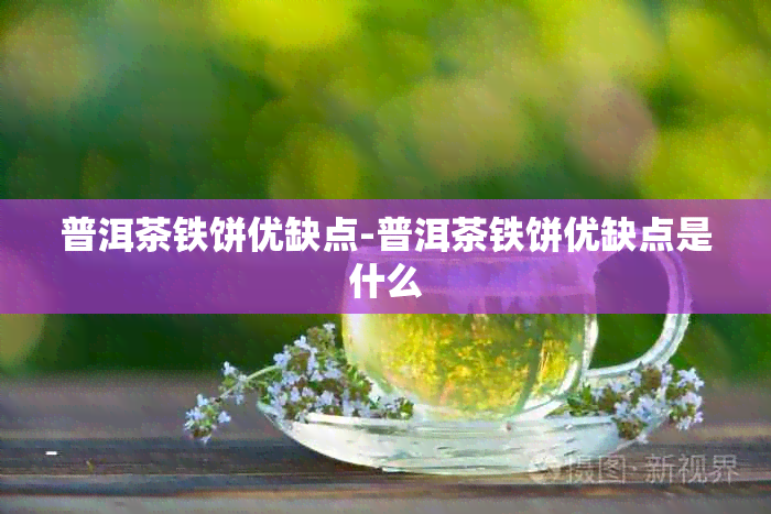 普洱茶铁饼优缺点-普洱茶铁饼优缺点是什么