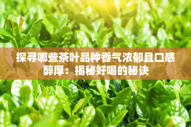 探寻哪些茶叶品种香气浓郁且口感醇厚:揭秘好喝的秘诀