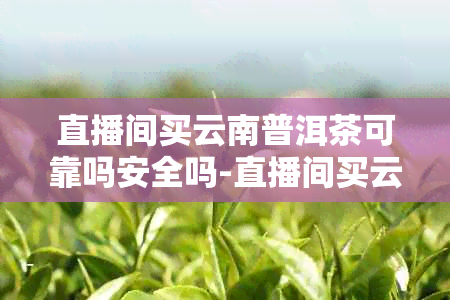 直播间买云南普洱茶可靠吗安全吗-直播间买云南普洱茶可靠吗安全吗是真的吗