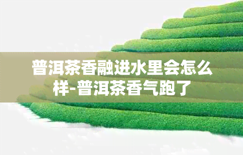 普洱茶香融进水里会怎么样-普洱茶香气跑了