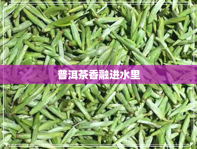 普洱茶香融进水里 普洱茶香融进水里