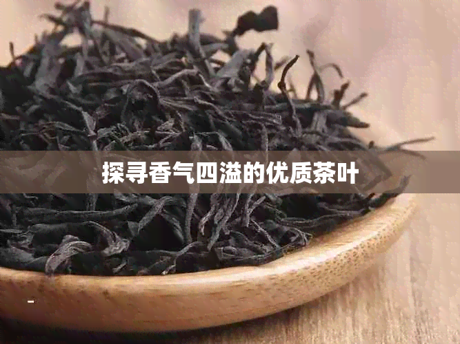 探寻香气四溢的优质茶叶