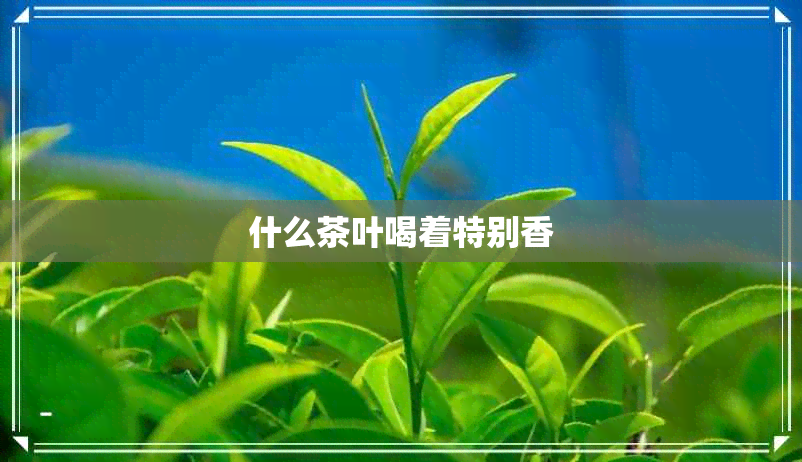 什么茶叶喝着特别香 什么茶叶喝着特别香