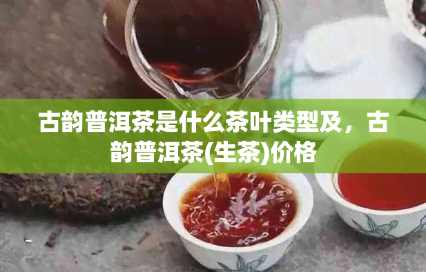 古韵普洱茶是什么茶叶类型及,古韵普洱茶(生茶)价格
