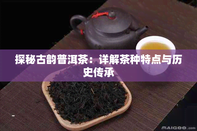 探秘古韵普洱茶:详解茶种特点与历史传承